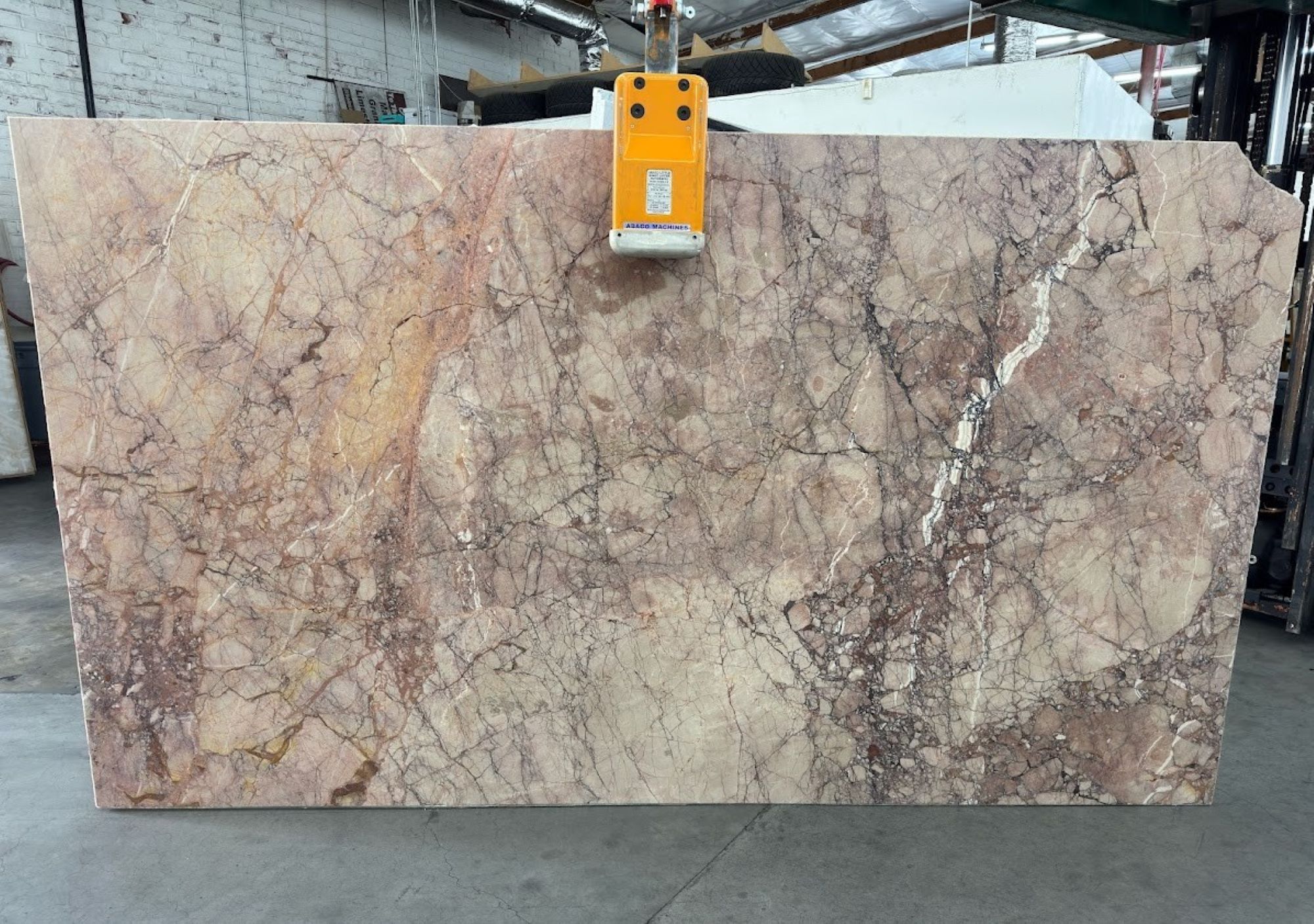 Breccia Pernice B4-7