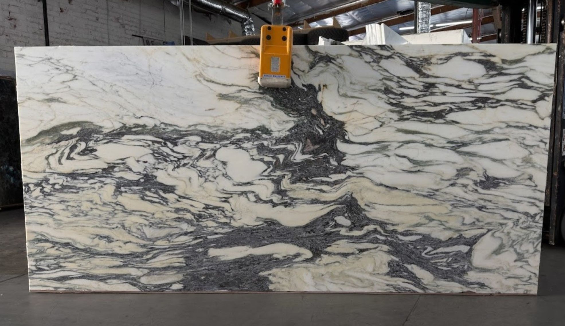 Fantastico Arni Viola 217