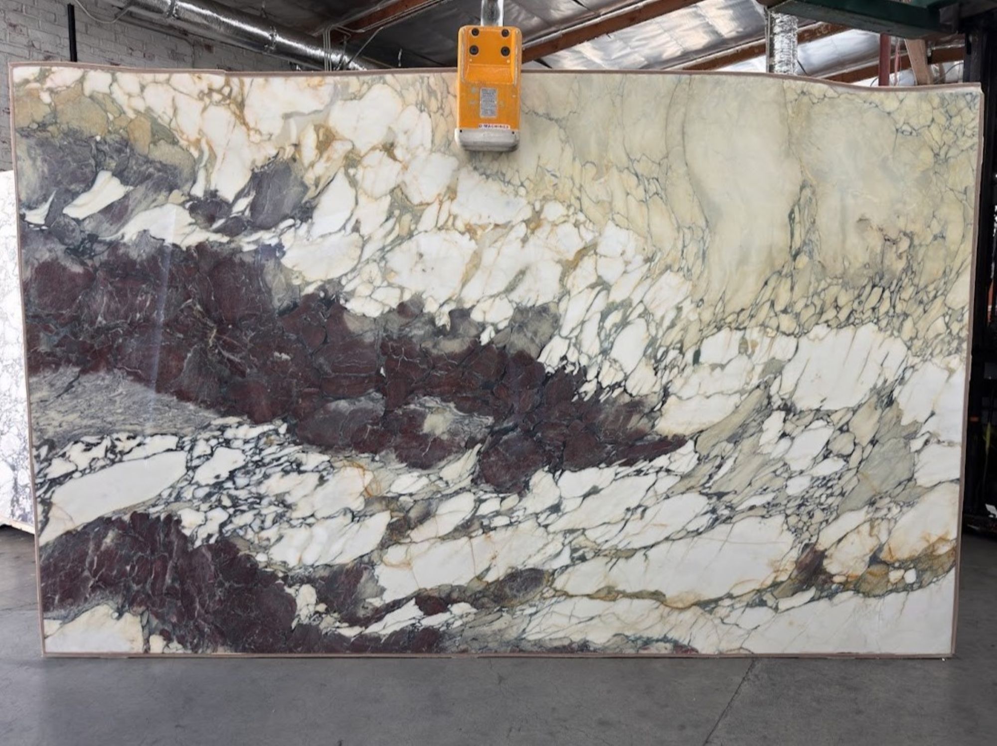 Breccia Capraia Extra B33 