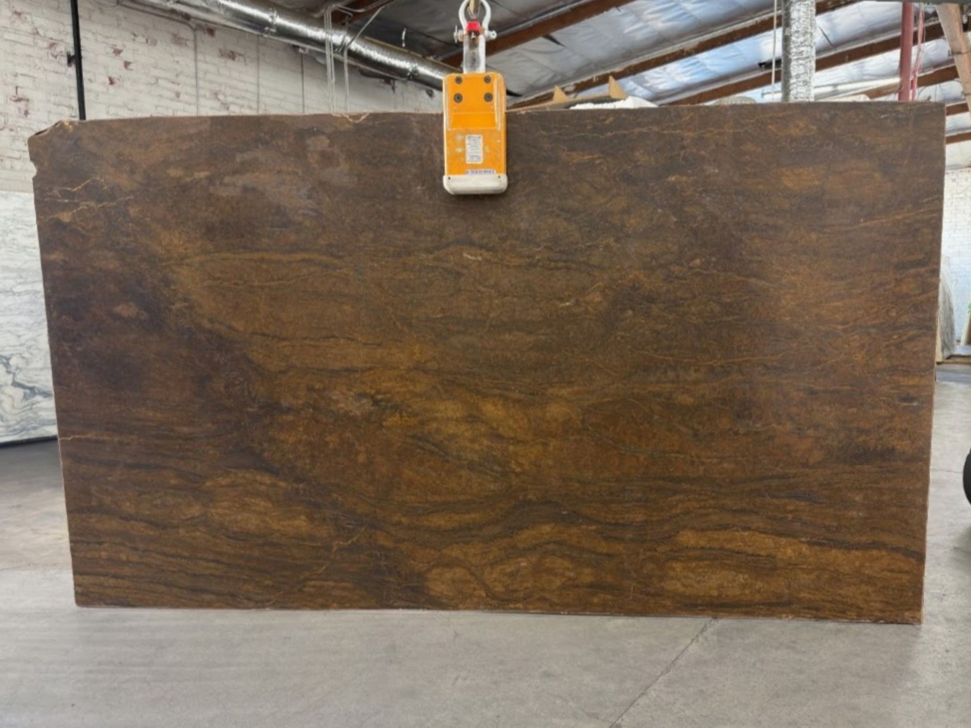 Bronzite B6